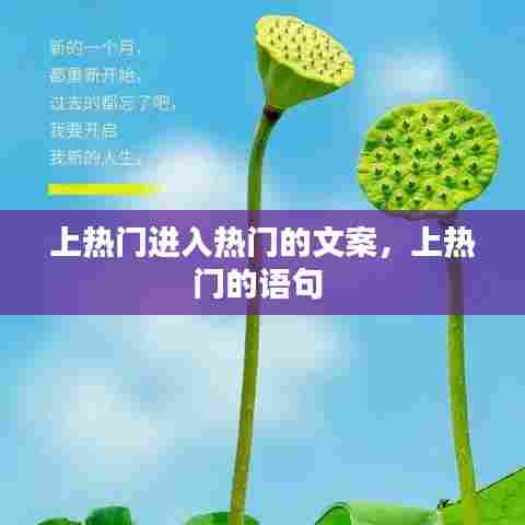 上热门进入热门的文案，上热门的语句 
