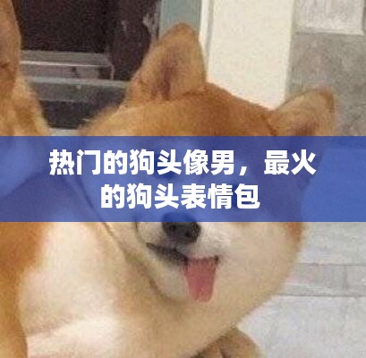 热门的狗头像男，最火的狗头表情包 