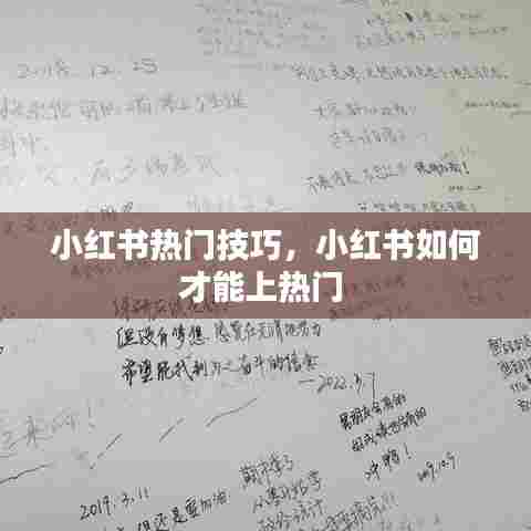 小红书热门技巧，小红书如何才能上热门 