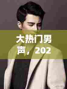 大热门男声，2020男声热歌合集 