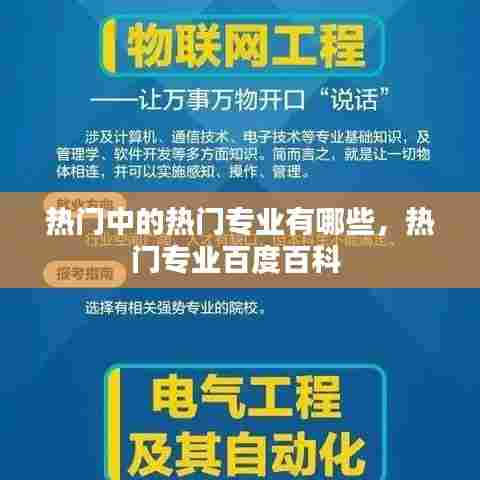 热门中的热门专业有哪些，热门专业百度百科 