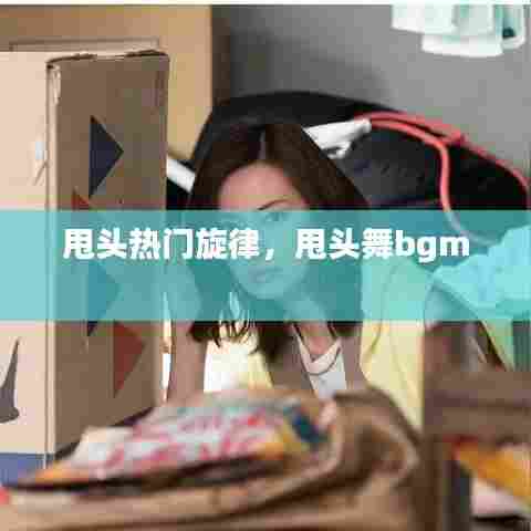 甩头热门旋律，甩头舞bgm 