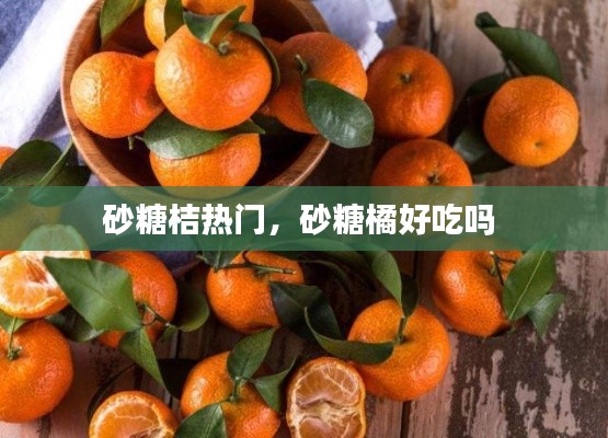 砂糖桔热门，砂糖橘好吃吗 