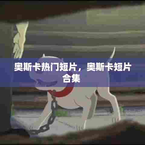 奥斯卡热门短片，奥斯卡短片合集 