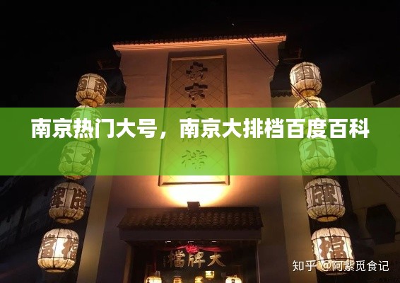 南京热门大号，南京大排档百度百科 
