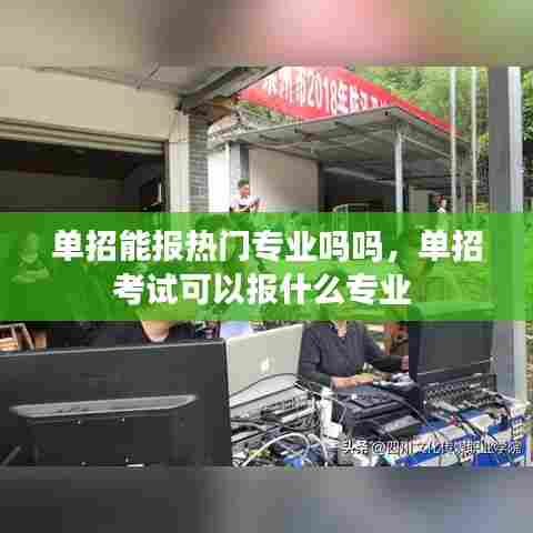 单招能报热门专业吗吗，单招考试可以报什么专业 