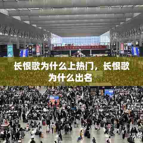 长恨歌为什么上热门，长恨歌为什么出名 