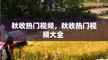 水静河飞 第6页