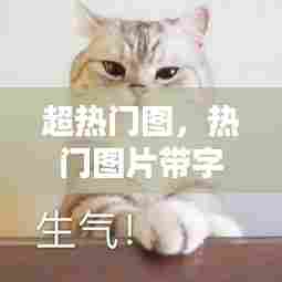 超热门图，热门图片带字可爱 