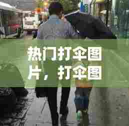 热门打伞图片，打伞图片搞笑 