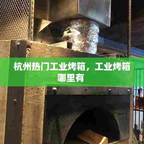 杭州热门工业烤箱，工业烤箱哪里有 