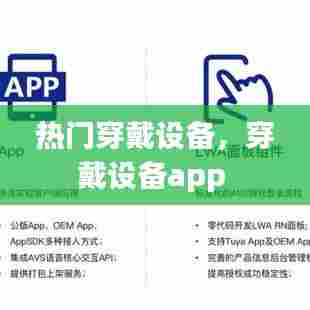 热门穿戴设备，穿戴设备app 