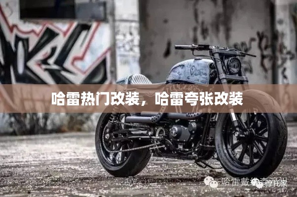 哈雷热门改装，哈雷夸张改装 