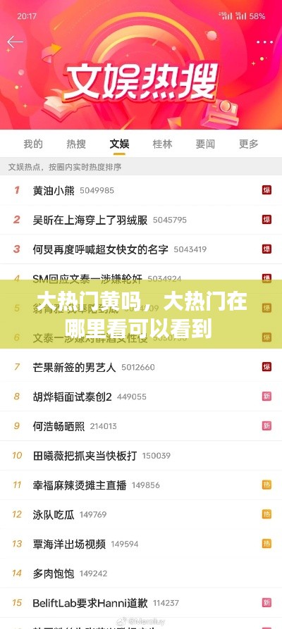 大热门黄吗，大热门在哪里看可以看到 