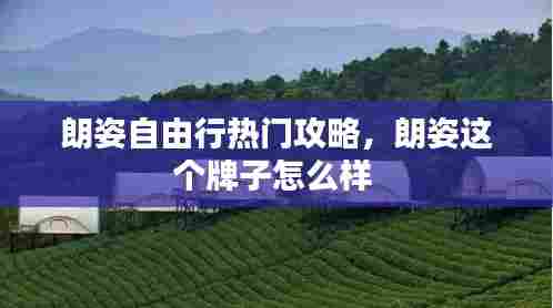 朗姿自由行热门攻略，朗姿这个牌子怎么样 