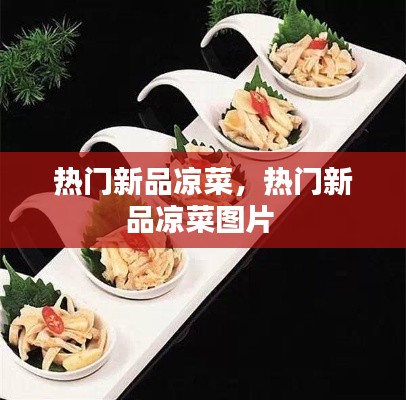 热门新品凉菜，热门新品凉菜图片 