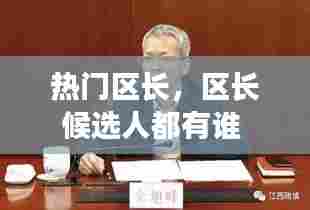 热门区长，区长候选人都有谁 