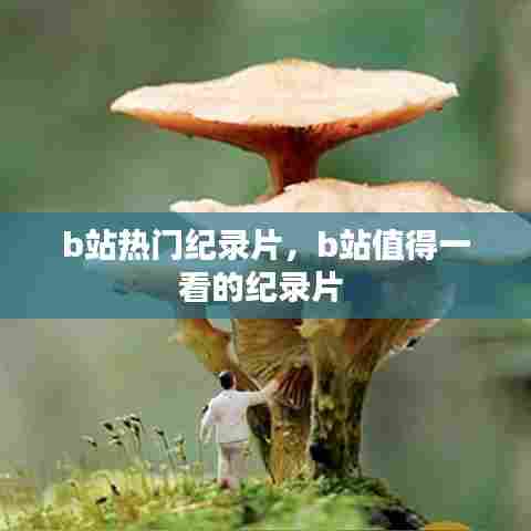 b站热门纪录片，b站值得一看的纪录片 