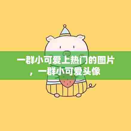 一群小可爱上热门的图片，一群小可爱头像 