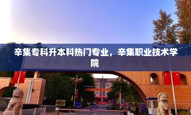 辛集专科升本科热门专业，辛集职业技术学院 
