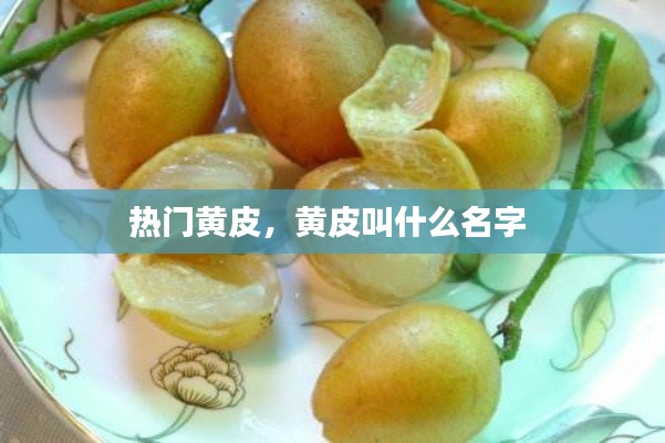 热门黄皮，黄皮叫什么名字 