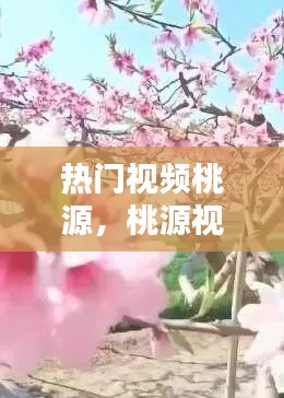 热门视频桃源，桃源视频搞笑 