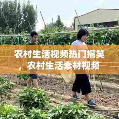 农村生活视频热门搞笑，农村生活素材视频 