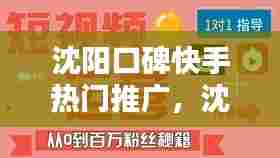 沈阳口碑快手热门推广，沈阳口碑快手热门推广公司 