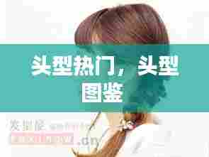 头型热门，头型图鉴 