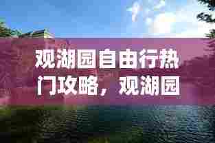 观湖园自由行热门攻略，观湖园别墅发生了什么 