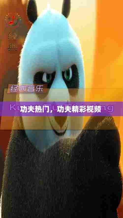 功夫热门，功夫精彩视频 