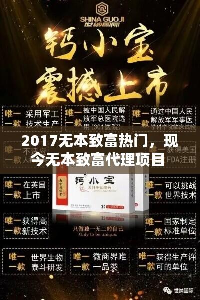 2017无本致富热门，现今无本致富代理项目 
