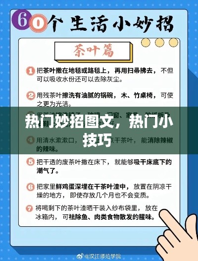 热门妙招图文，热门小技巧 
