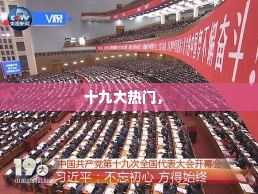 十九大热门， 