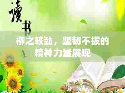 柳之较劲，坚韧不拔的精神力量展现