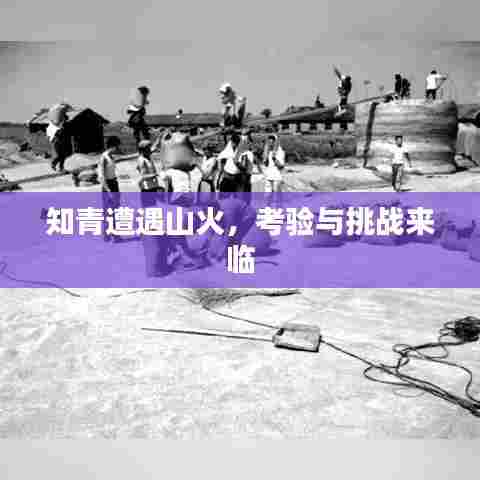 知青遭遇山火，考验与挑战来临