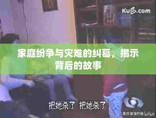 夭桃秾李 第6页