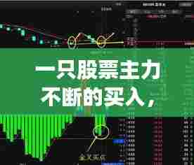 一只股票主力不断的买入，股票主力一直买进啥意思? 