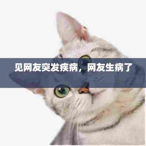 见网友突发疾病，网友生病了 