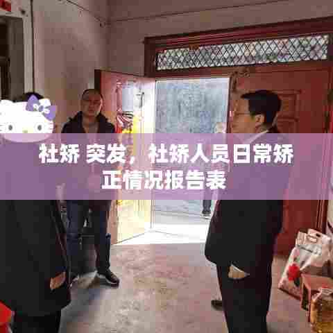 社矫 突发，社矫人员日常矫正情况报告表 