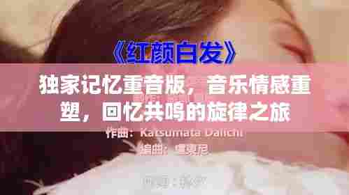 独家记忆重音版，音乐情感重塑，回忆共鸣的旋律之旅