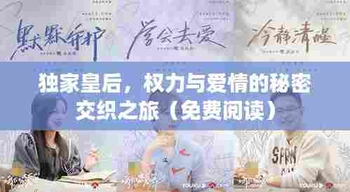 独家皇后，权力与爱情的秘密交织之旅（免费阅读）