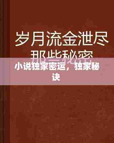 小说独家密运，独家秘诀 