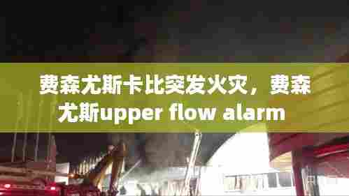 费森尤斯卡比突发火灾，费森尤斯upper flow alarm 