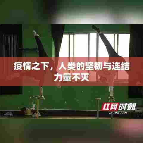 疫情之下，人类的坚韧与连结力量不灭