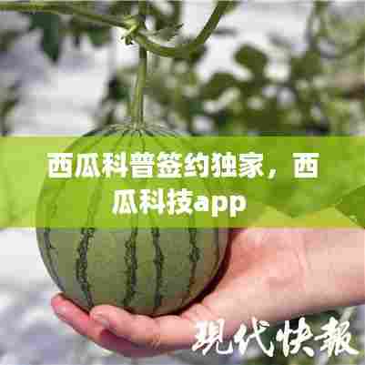 西瓜科普签约独家，西瓜科技app 