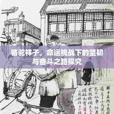 骆驼祥子，命运挑战下的坚韧与奋斗之路探究