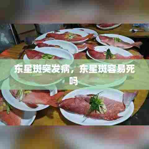 东星斑突发病,东星斑容易死吗