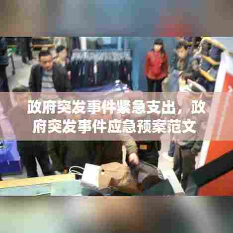 政府突发事件紧急支出，政府突发事件应急预案范文 