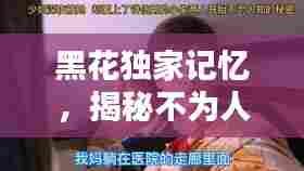 黑花独家记忆，揭秘不为人知的珍贵瞬间！